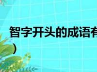 智字开头的成语有什么（智字开头的成语大全）