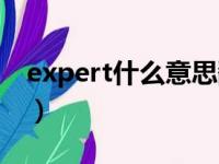 expert什么意思翻译中文（expert什么意思）