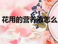 花用的营养液怎么用（花的营养液怎么使用）