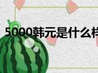 5000韩元是什么样的图片（5000韩元图片）