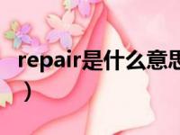 repair是什么意思译（repair是什么意思中文）