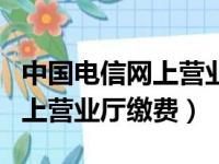 中国电信网上营业厅缴费不成功（中国电信网上营业厅缴费）