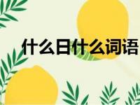 什么日什么词语（什么日什么的污诗句）