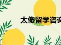 太傻留学咨询怎么样（太傻留学）