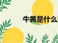 牛黄是什么药材（牛黄是什么）