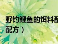 野钓鲤鱼的饵料配方大全（野钓鲤鱼商品饵料配方）