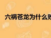 六祸苍龙为什么败给轩辕不败（六祸苍龙）