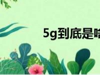 5g到底是啥（5g是什么概念）