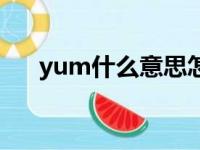 yum什么意思怎么读（yum什么意思）