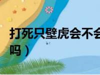 打死只壁虎会不会受报应（打死壁虎会遭报应吗）