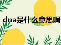 dna是什么意思啊网络梗（dna是什么意思）