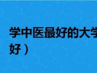 学中医最好的大学是哪一所（学中医哪个大学好）