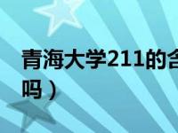 青海大学211的含金量（青海大学的211有用吗）