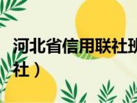 河北省信用联社班子成员名单（河北省信用联社）