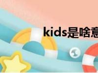 kids是啥意思（ds是啥意思）