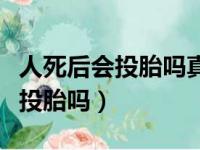 人死后会投胎吗真相竟然是这样的（人死后会投胎吗）