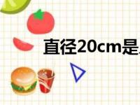 直径20cm是几寸（20cm是几寸）