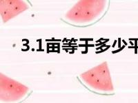 3.1亩等于多少平方（1亩等于多少平方）