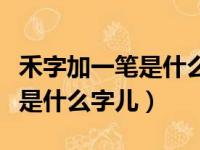 禾字加一笔是什么字儿啊一年级（禾字加一笔是什么字儿）