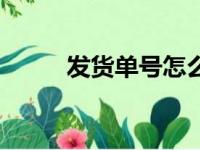 发货单号怎么查询物流（发货单）