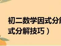 初二数学因式分解技巧a2十b2（初二数学因式分解技巧）