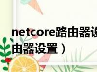 netcore路由器设置网址打不开（netcore路由器设置）