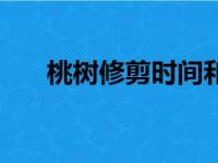 桃树修剪时间和方法视频（桃树修剪）