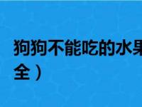 狗狗不能吃的水果清单（狗狗不能吃的东西大全）