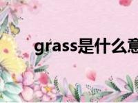 grass是什么意思（leaf是什么意思）