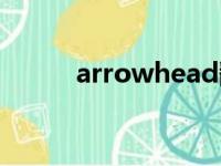 arrowhead翻译（arrowhead）