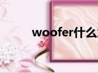 woofer什么意思中文（woofer）