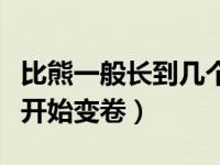 比熊一般长到几个月就定型了（比熊几个月毛开始变卷）