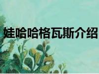 娃哈哈格瓦斯介绍（娃哈哈格瓦斯停产原因）