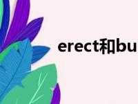 erect和build的区别（erect）