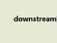 downstream翻译（downstream）