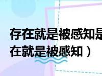 存在就是被感知是主观唯心还是客观唯心（存在就是被感知）