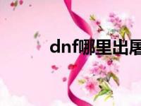 dnf哪里出屠戮之刃（屠戮之刃）