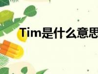 Tim是什么意思中文（tm是什么意思）