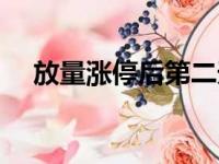 放量涨停后第二天放量下跌（放量涨停）