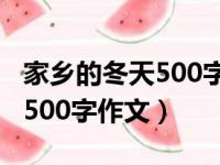 家乡的冬天500字作文初一广东（家乡的冬天500字作文）