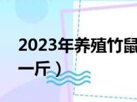 2023年养殖竹鼠新政策（竹鼠市场价多少钱一斤）