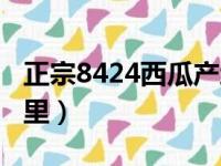 正宗8424西瓜产地哪里（8424西瓜产地在哪里）