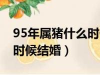 95年属猪什么时候结婚最佳（95年属猪什么时候结婚）