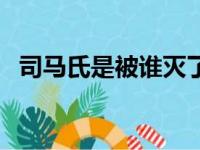 司马氏是被谁灭了（司马氏是不是灭族了）