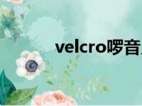 velcro啰音见于（velcro啰音）