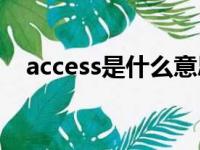 access是什么意思（accent是什么意思）