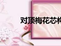 对顶梅花芯构造图（对顶梅花芯）