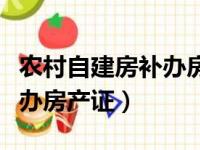 农村自建房补办房产证多少钱（农村自建房补办房产证）