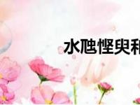 水虺悭臾和太子长琴（水虺）