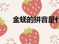 金蜣的拼音是什么意思（金莼怎么读）